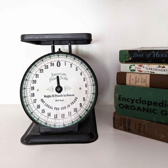 Vintage Rustic Black American Family Scale 25lb Model 1906 general store vintage - Picture 2 of 7